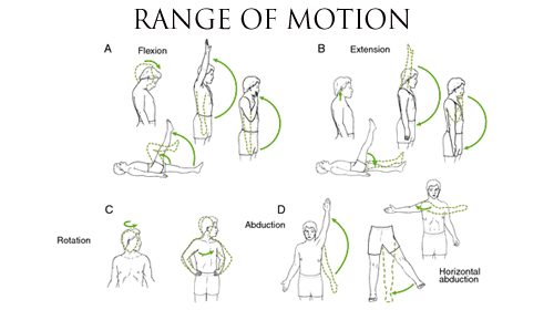 Range Of Motion Chart Normal Values