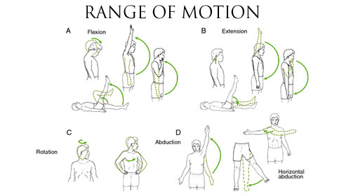 Range Of Motion Chart For Assessment