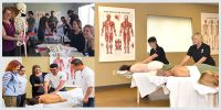 Learning Massage Therapy - Massage Student Resources