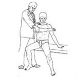 Special Test for Shoulder Orthopedic Exam