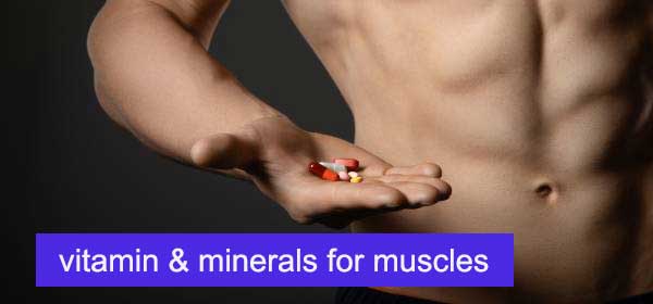 Nutrients needed for muscles