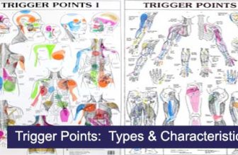 trigger point characteristics and types