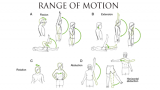 Range of Motion Testing